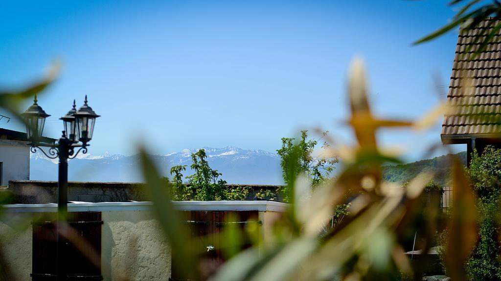Le Castel De Larralde Hotel Assat Buitenkant foto
